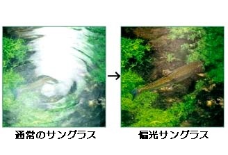 画像をアップロード